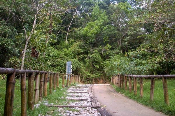 Parque-municipal-de-Maceió-2-1024x602