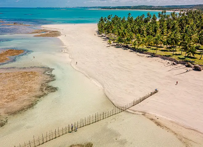 As Maravilhas do Litoral Norte de Maceió: Top 5 Praias Imperdíveis